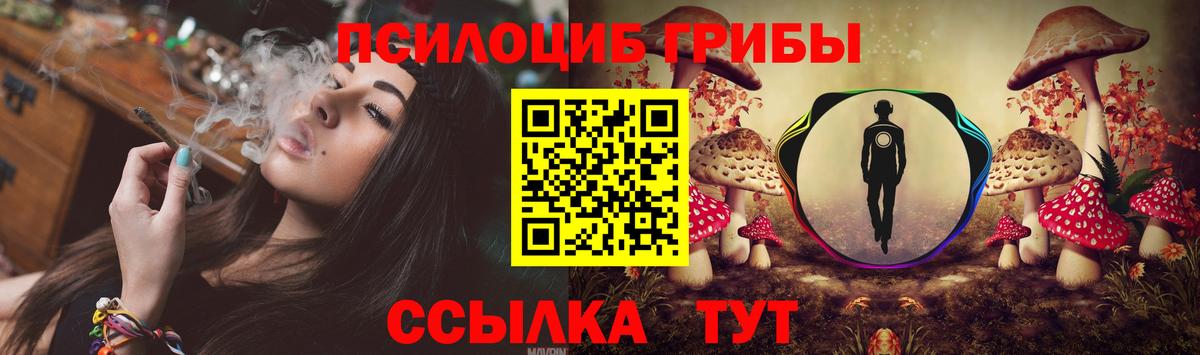 Псилоцибиновые грибы Psilocybe Прокопьевск